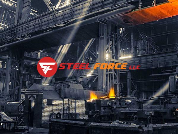Client - Steel Force - Web Choice