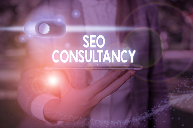 B2B SEO Services USA  - Web Choice